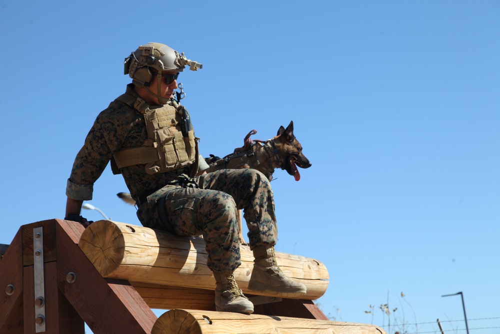 MARSOC Multi-Purpose Canine Subject Matter Expert Exchange Conference