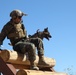 MARSOC Multi-Purpose Canine Subject Matter Expert Exchange Conference