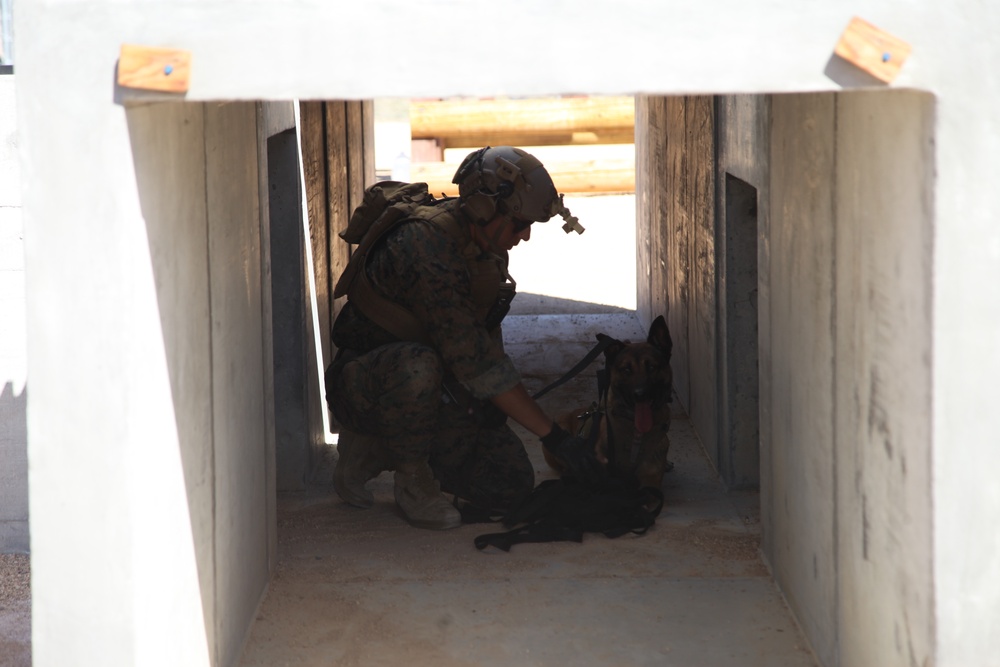 MARSOC Multi-Purpose Canine Subject Matter Expert Exchange Conference