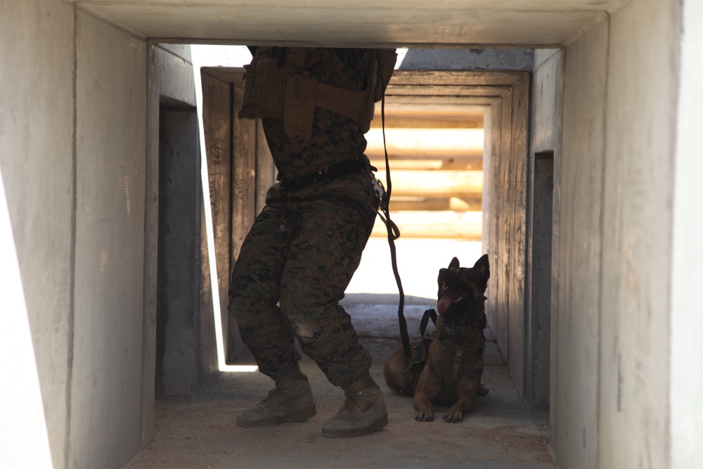 MARSOC Multi-Purpose Canine Subject Matter Expert Exchange Conference