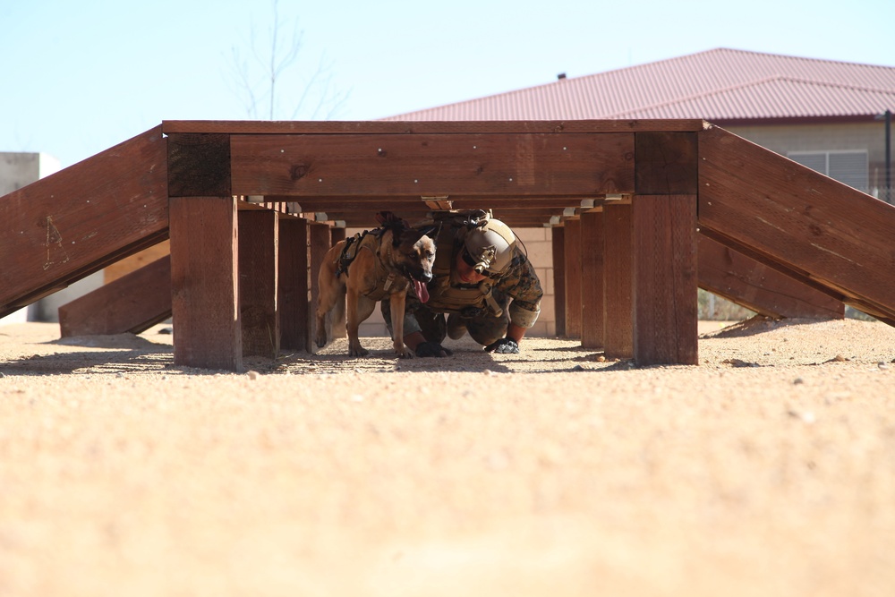 MARSOC Multi-Purpose Canine Subject Matter Expert Exchange Conference