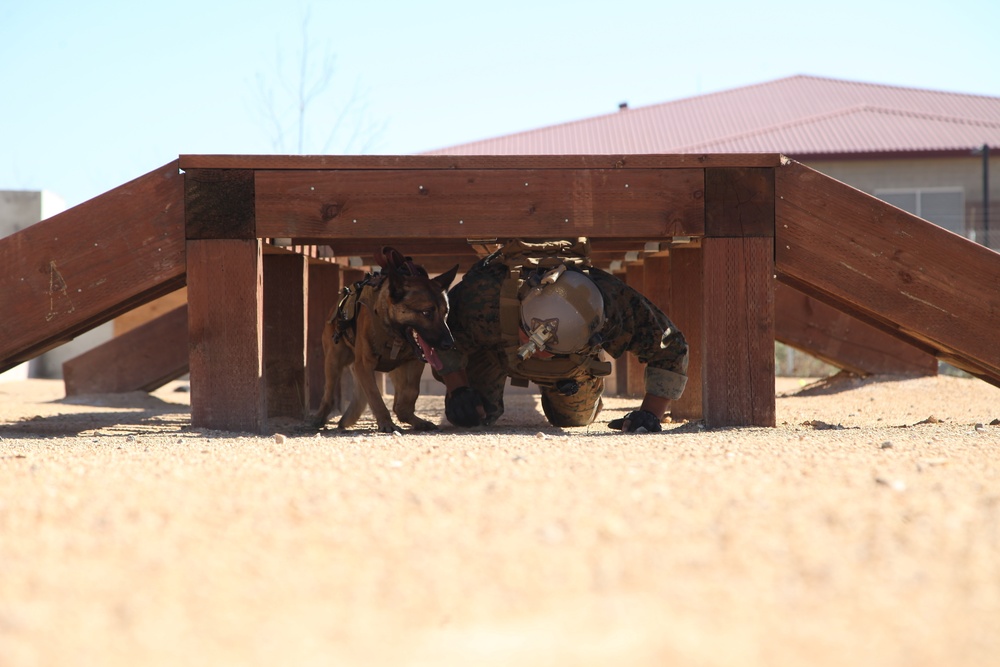 MARSOC Multi-Purpose Canine Subject Matter Expert Exchange Conference