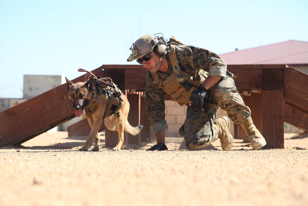 MARSOC Multi-Purpose Canine Subject Matter Expert Exchange Conference