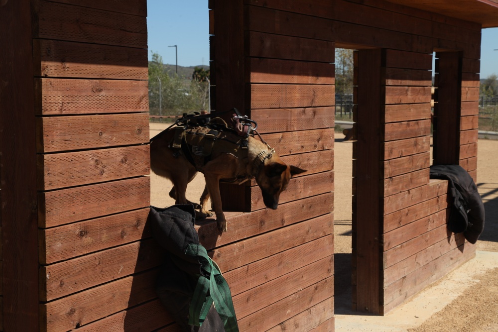 MARSOC Multi-Purpose Canine Subject Matter Expert Exchange Conference