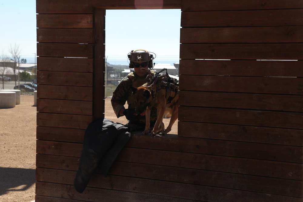 MARSOC Multi-Purpose Canine Subject Matter Expert Exchange Conference