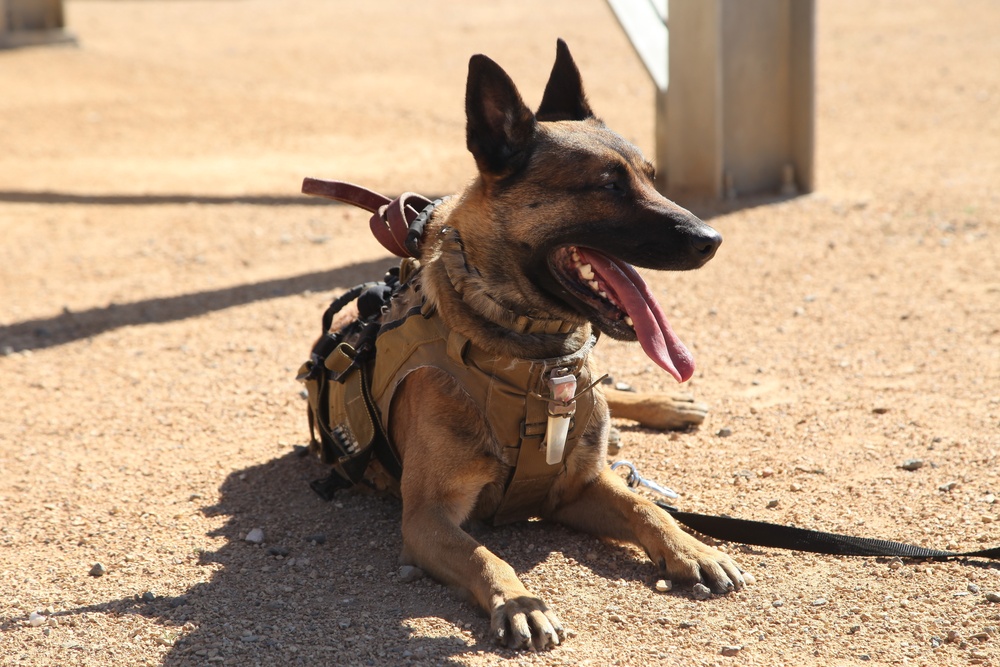 MARSOC Multi-Purpose Canine Subject Matter Expert Exchange Conference