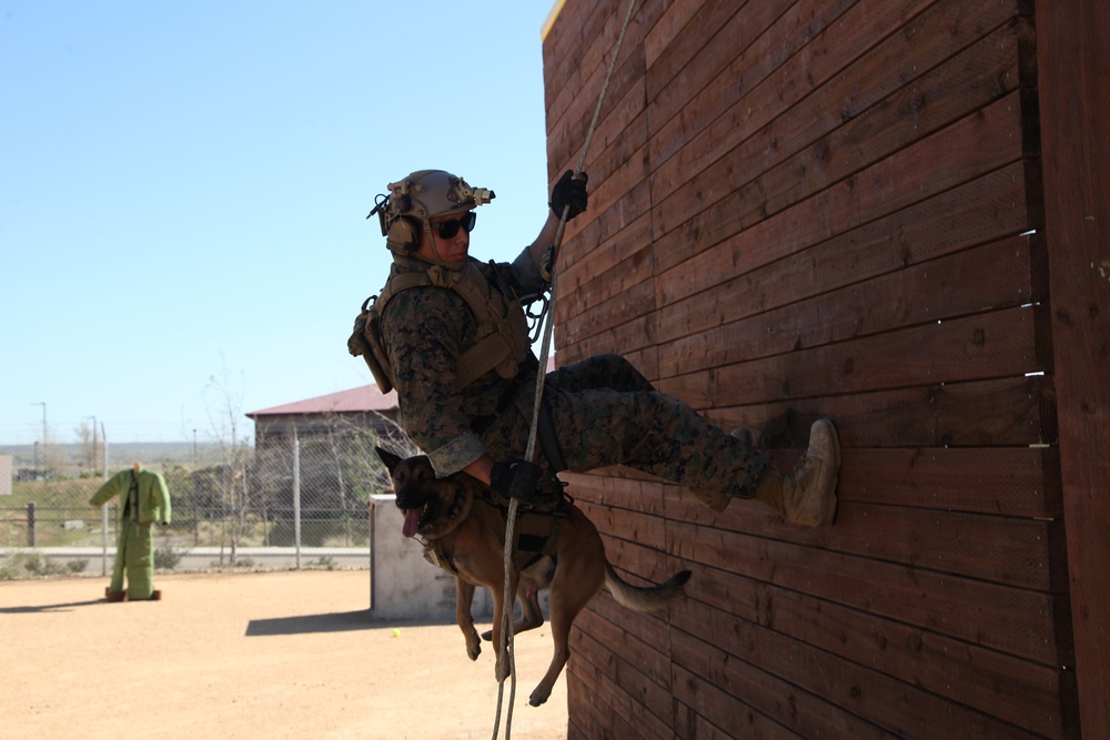 MARSOC Multi-Purpose Canine Subject Matter Expert Exchange Conference