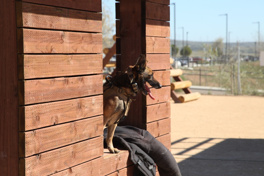 MARSOC Multi-Purpose Canine Subject Matter Expert Exchange Conference