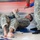 Tough Enough - USAG Rheinland-Pfalz Combatives Tough Enough - USAG Rheinland-Pfalz Combatives