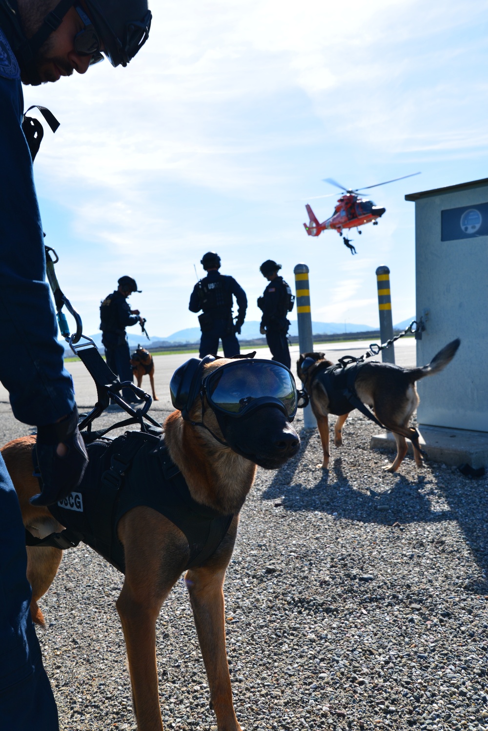 Coast Guard MSST SF conduct helo training