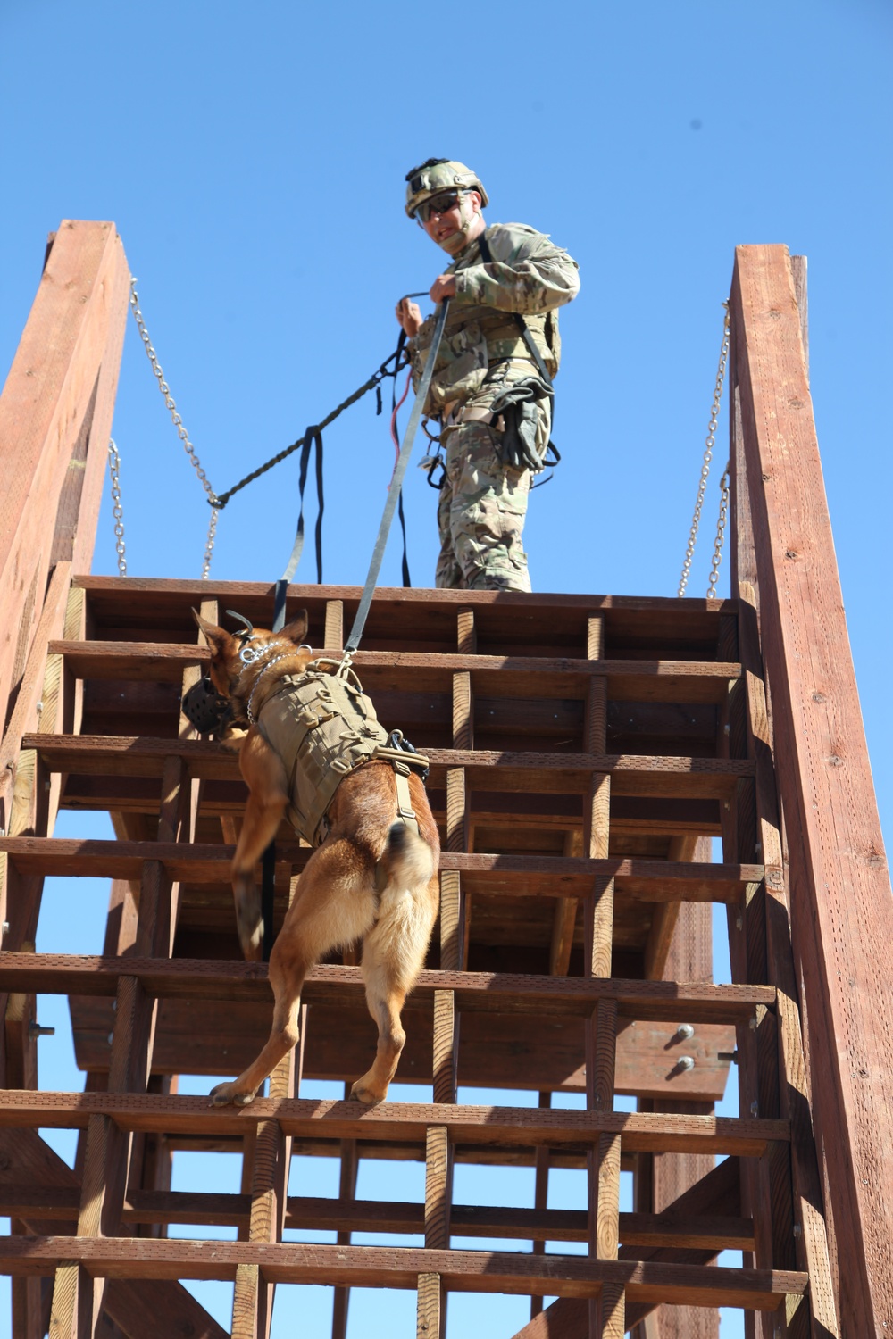 MARSOC Multi-Purpose Canine Subject Matter Expert Exchange Conference