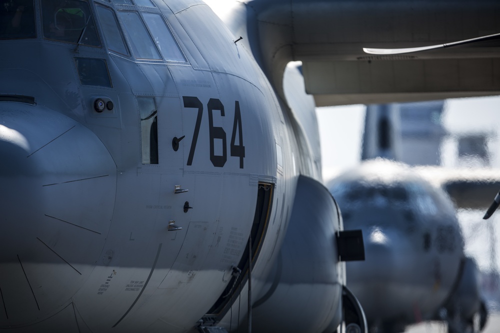 EA-6B Prowler Squadrons Soar Together