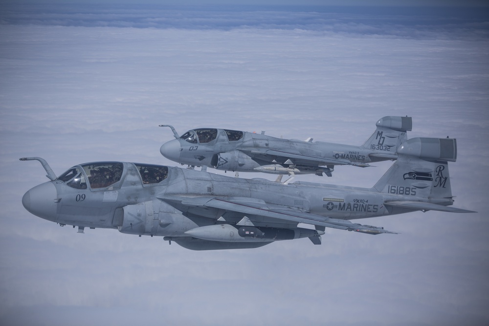 EA-6B Prowler Squadrons Soar Together