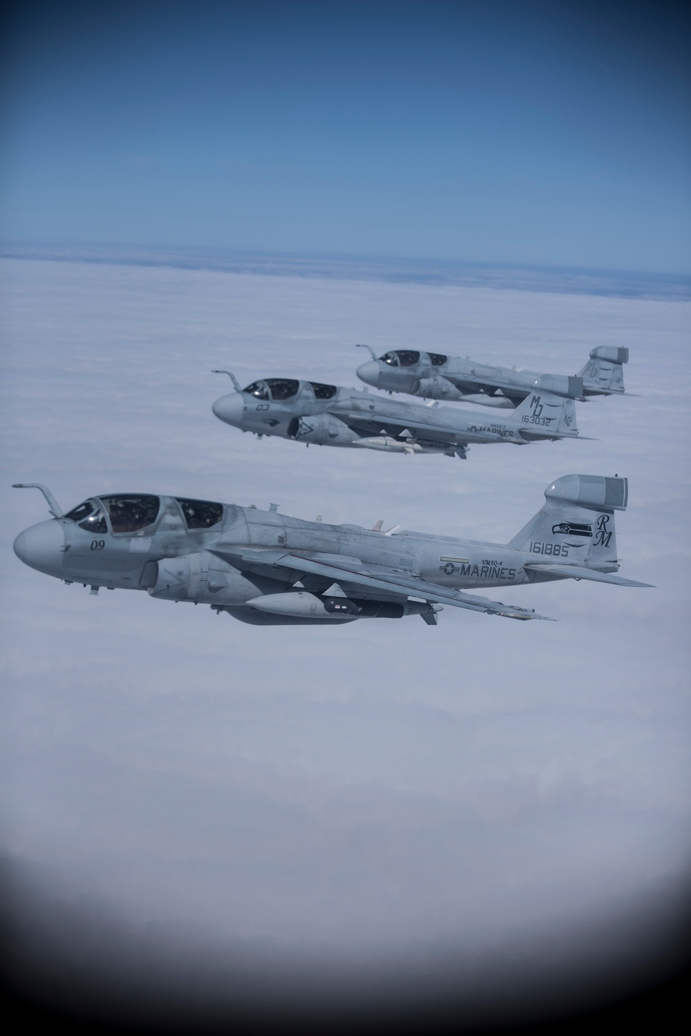 EA-6B Prowler Squadrons Soar Together