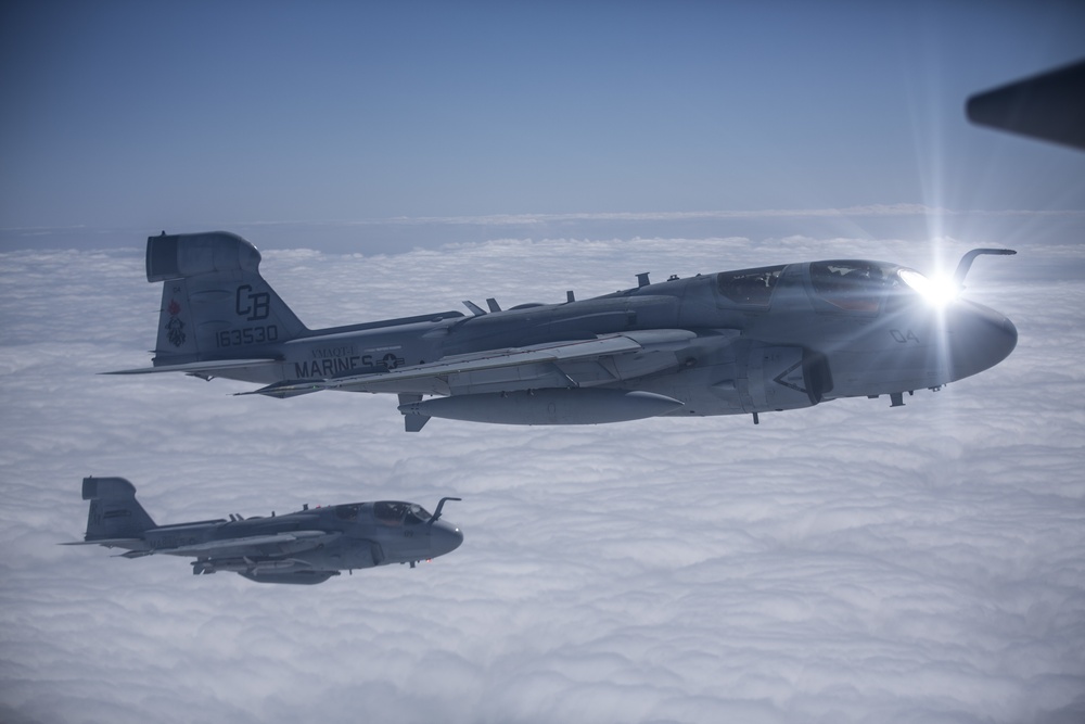 EA-6B Prowler Squadrons Soar Together