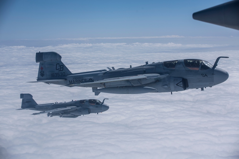 EA-6B Prowler Squadrons Soar Together