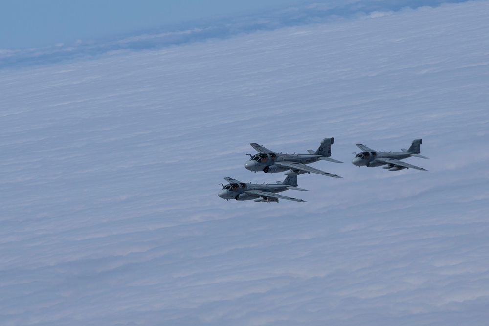 EA-6B Prowler Squadrons Soar Together