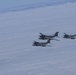 EA-6B Prowler Squadrons Soar Together