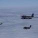 EA-6B Prowler Squadrons Soar Together