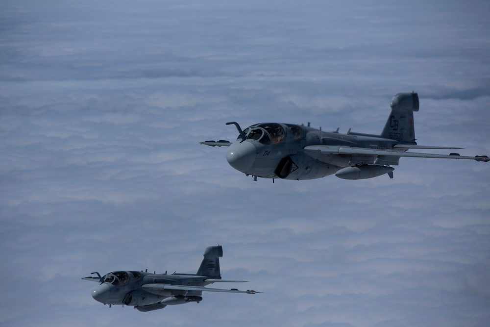 EA-6B Prowler Squadrons Soar Together