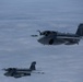 EA-6B Prowler Squadrons Soar Together