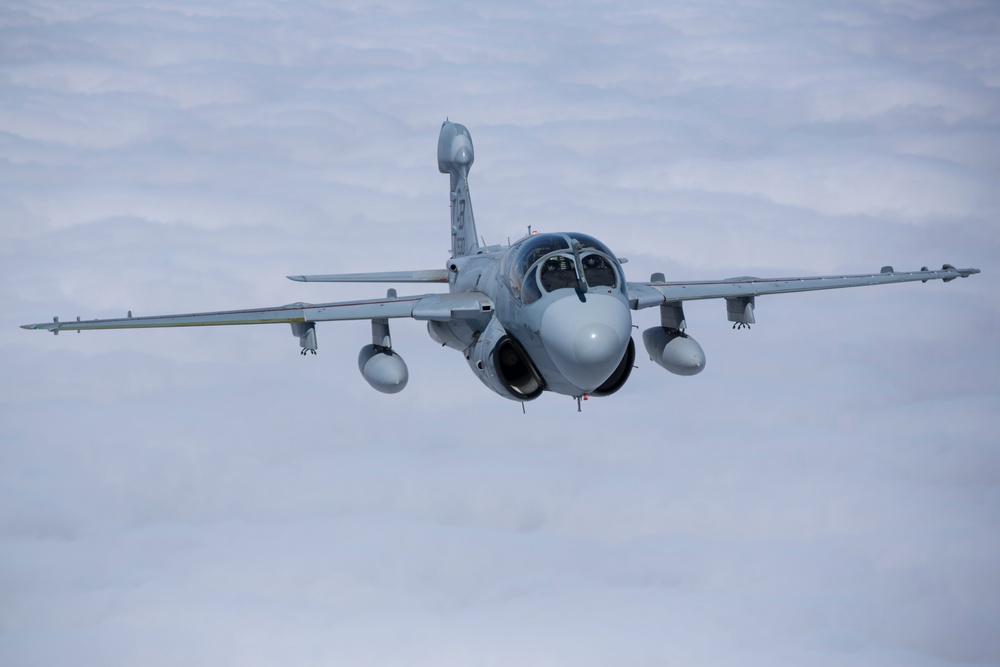 EA-6B Prowler Squadrons Soar Together