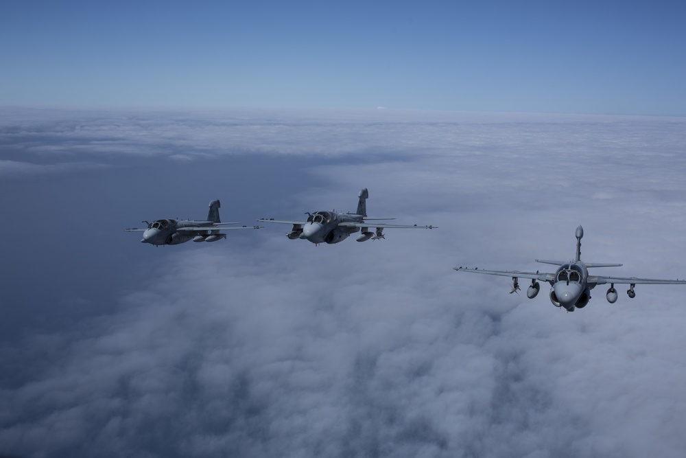 EA-6B Prowler Squadrons Soar Together