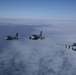 EA-6B Prowler Squadrons Soar Together