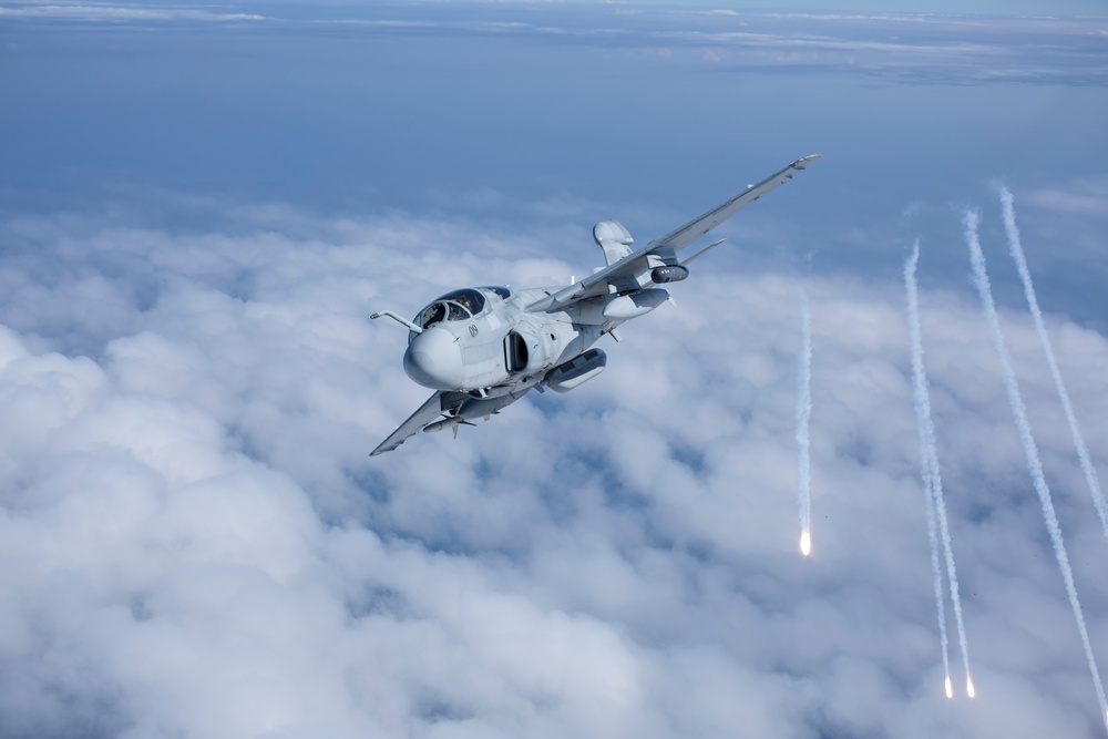 EA-6B Prowler Squadrons Soar Together