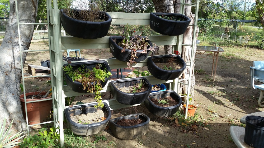 GTMO Plant Nursery - Greenhouse for healthy future