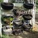 GTMO Plant Nursery - Greenhouse for healthy future