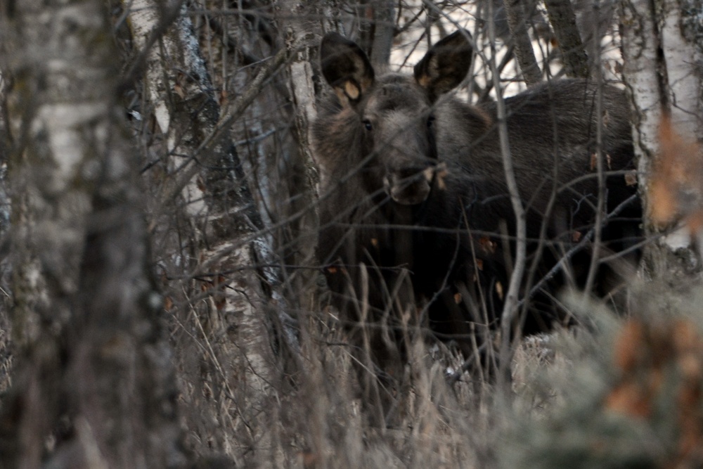 Conservation Law Enforcement Officers prepare for spring