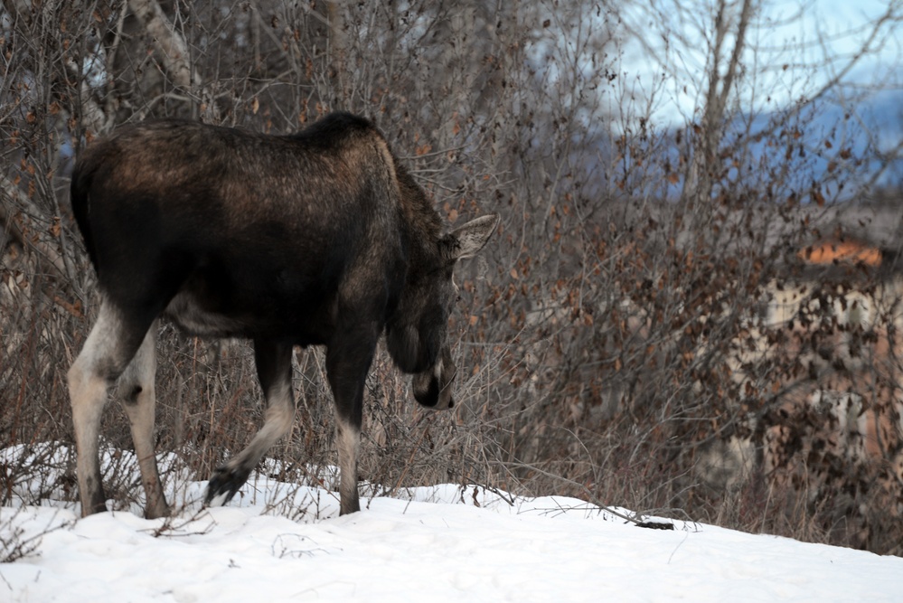 Conservation Law Enforcement Officers prepare for spring