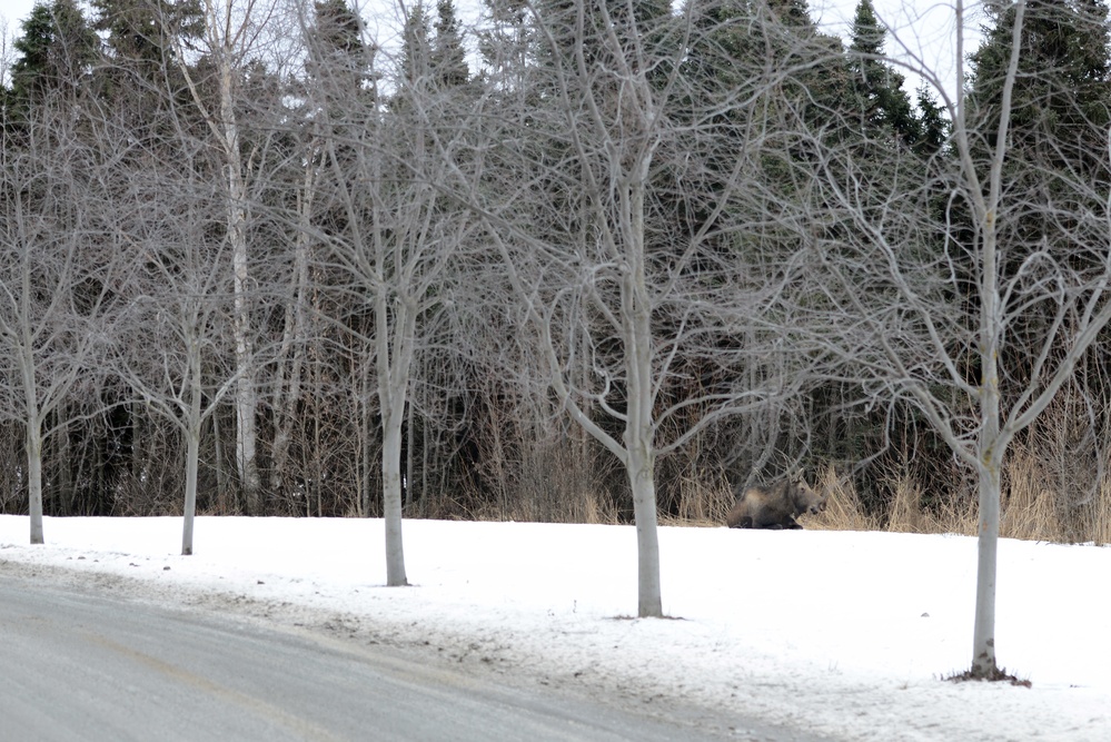 Conservation Law Enforcement Officers prepare for spring