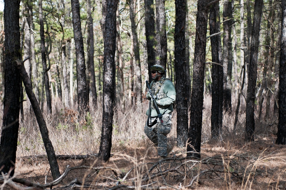 Combat Support Training Exercise 2016