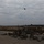 B Co. 112th Sig. Bn Validation Exercise