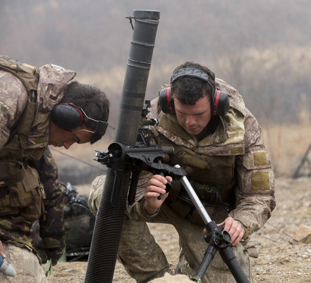 81mm Mortar Training