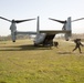 US Marines partner with Portuguese Fuzileros for Operation Real Thaw