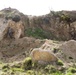 US Marines partner with Portuguese Fuzileros for Operation Real Thaw