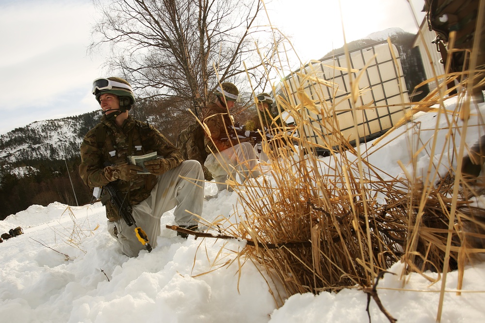 Royal Commandos in Contact During Cold Response