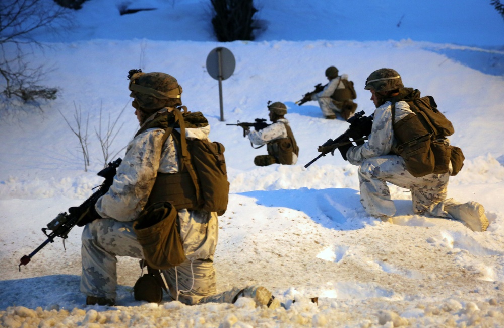 2nd AA Bn., coalition forces storm a Fjord during Cold Response 16