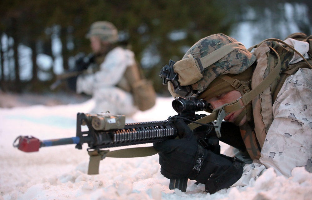 2nd AA Bn., coalition forces storm a Fjord during Cold Response 16