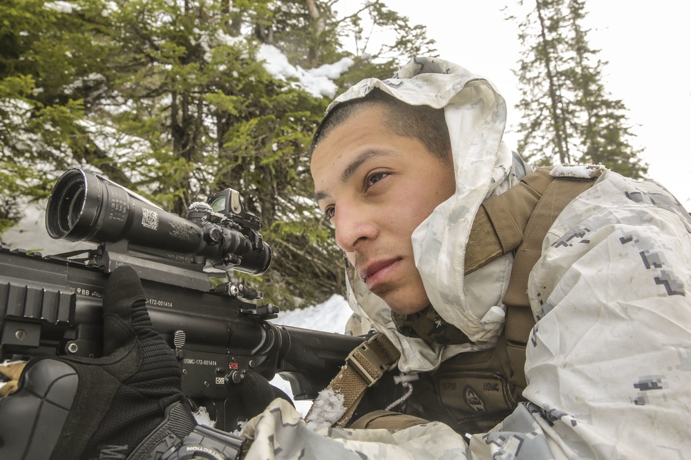 Cold Response 16: CAC Marines scout area for the enemy