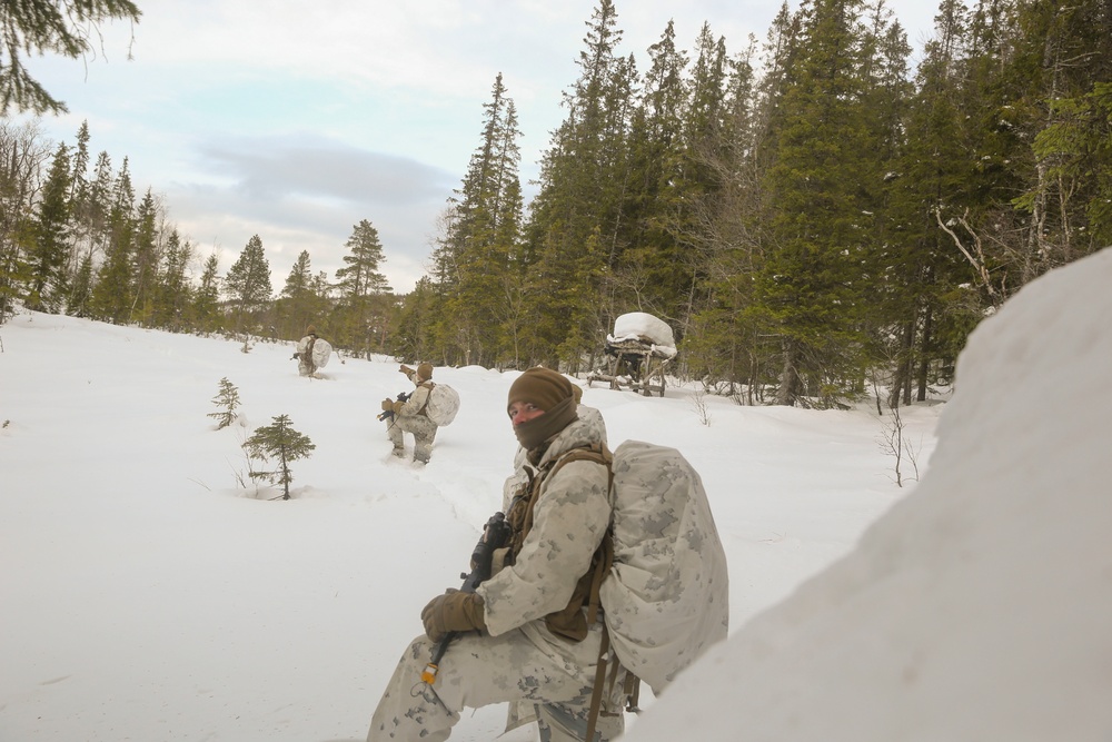 Cold Response 16: CAC Marines scout area for the enemy