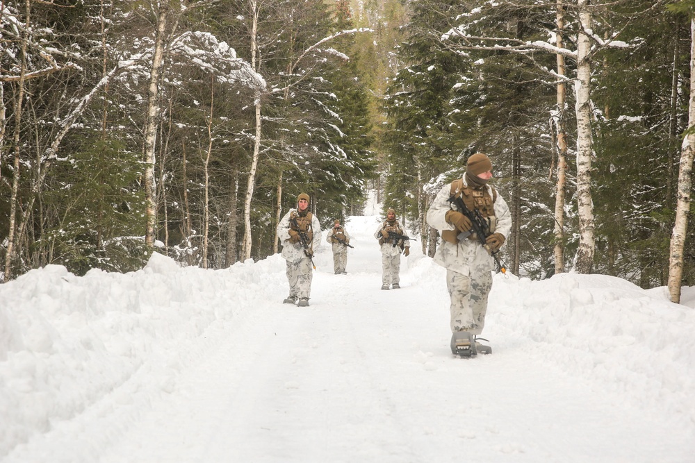 Cold Response 16: CAC Marines scout area for the enemy