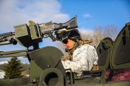 Cold Response 16: CAC Marines scout area for the enemy