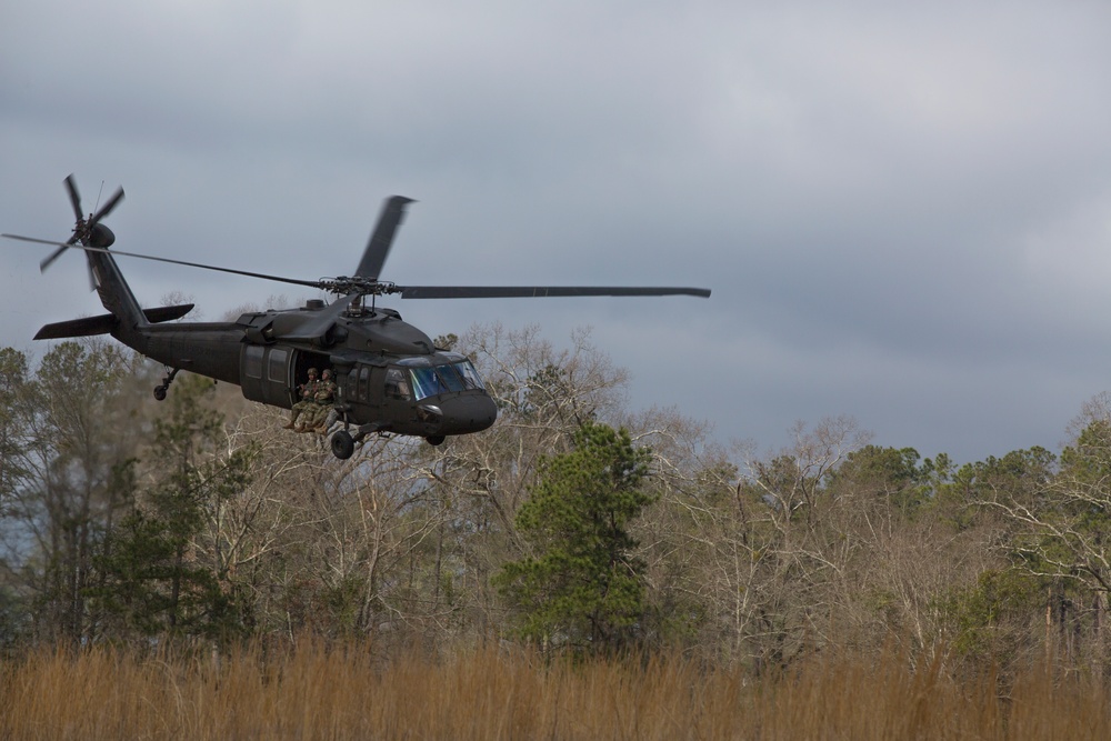 A military helicopter, consistent with a UH-60 Black Hawk, is flying at low altitude over a field of dry grass and sparse woodland. Personnel in military gear are visible seated in the open side door of the aircraft. The overcast sky and bare deciduous trees suggest late autumn or winter conditions.