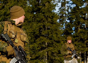 No Rest for the Wicked 1/8