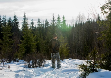 No Rest for the Wicked 1/8