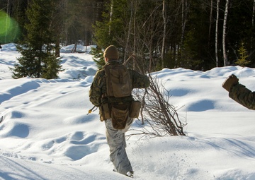 No Rest for the Wicked 1/8